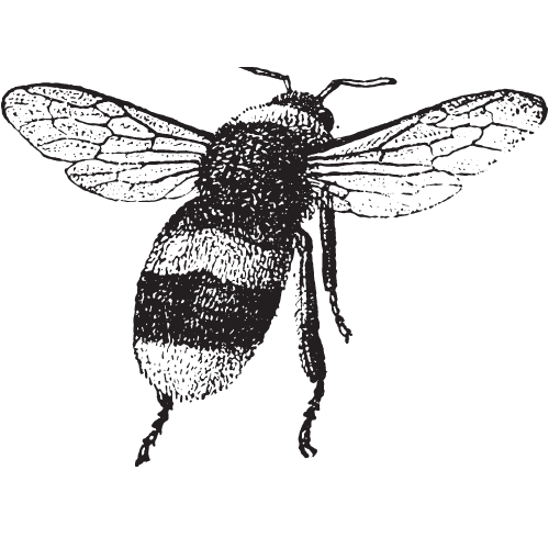 OTYZ Logo Fashion 